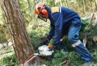 Tuggeranong tree-cutting-services-21.jpg; ?>