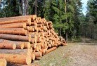 Tuggeranong tree-cutting-services-31.jpg; ?>